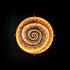 THE.AMONIT -  - VINOSAS FINE RARITIES