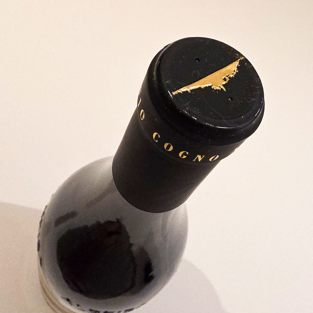 Elvio Cogno Barolo Ravera 2016