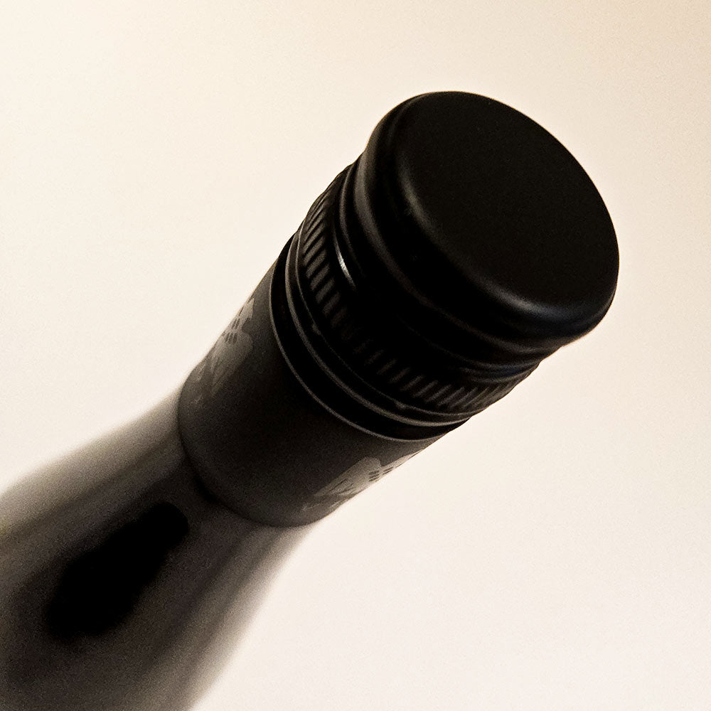 Heymann-Löwenstein vom Blauen Schiefer Riesling 2015 - Weisswein - VINOSAS FINE RARITIES