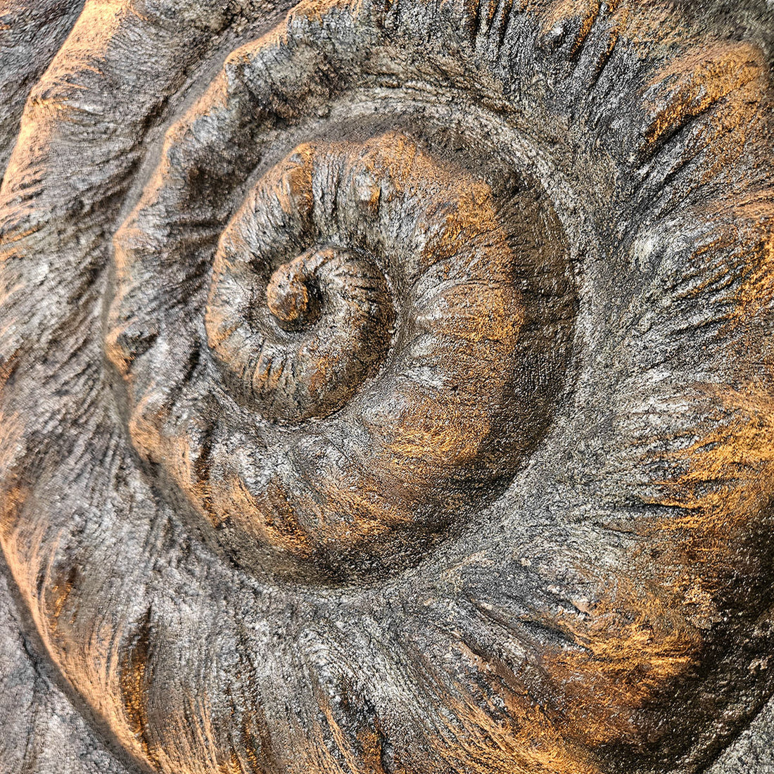 THE.AMONIT -  - VINOSAS FINE RARITIES