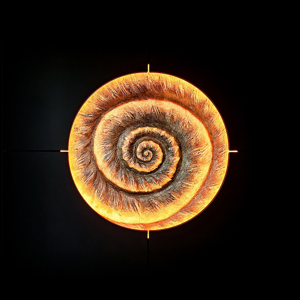 THE.AMONIT -  - VINOSAS FINE RARITIES