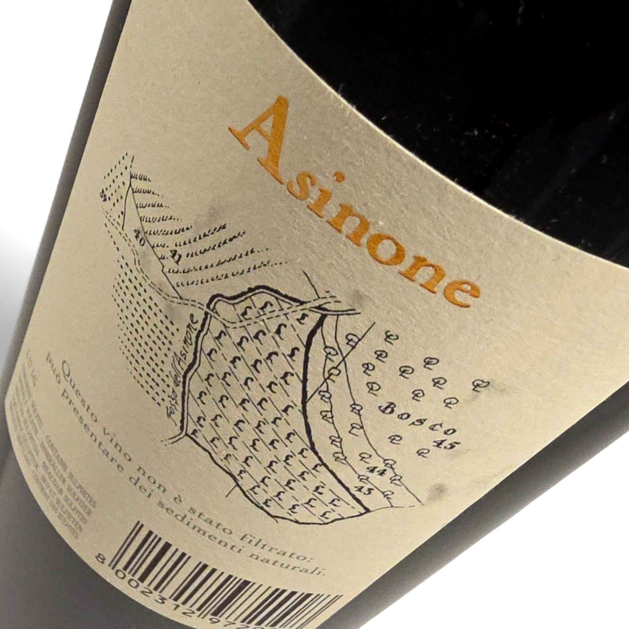 Poliziano Asinone 2015