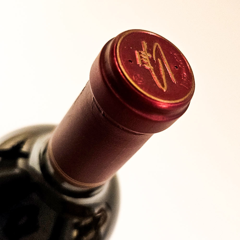 Castelfeder Burgum Novum Riserva Lagrein 2011 [Magnum]